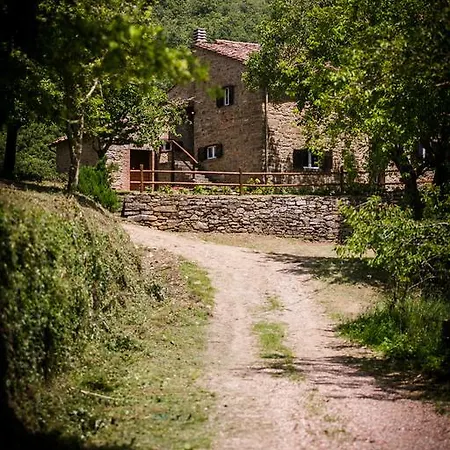Borgo Al Teto La Vite *