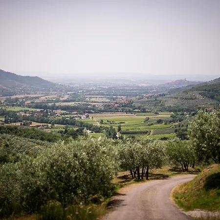 Διαμέρισμα Borgo Al Teto La Vite