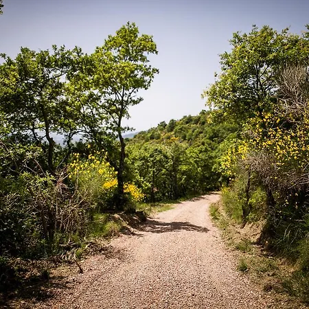 Borgo Al Teto La Vite Διαμέρισμα *