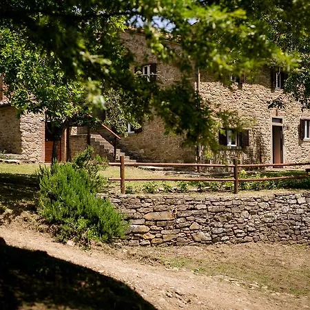 Borgo Al Teto La Vite