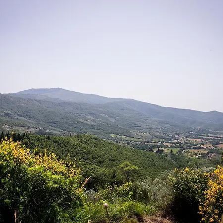 Διαμέρισμα Borgo Al Teto La Vite *