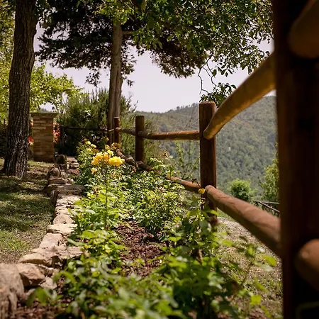 Borgo Al Teto La Vite Διαμέρισμα